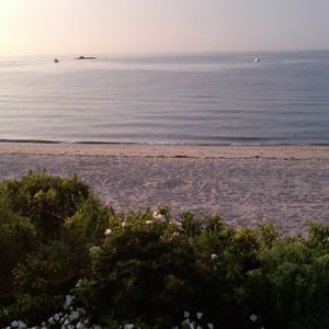 Meet your Posher, Anne